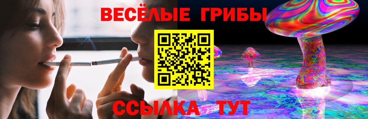 Галлюциногенные грибы ЛСД  Псилоцибиновые грибы Cubensis  Элиста  Вход с VPN 
