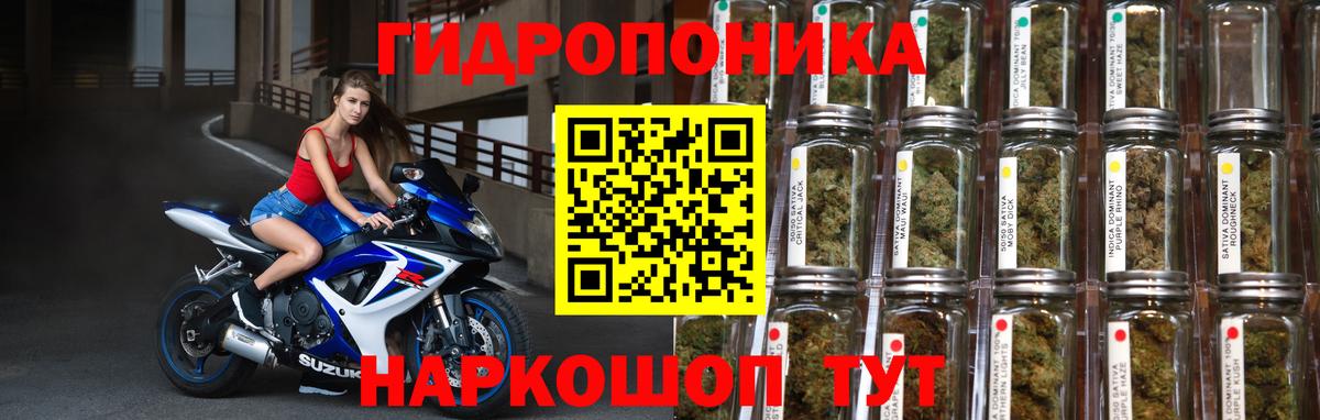 Каннабис план Элиста